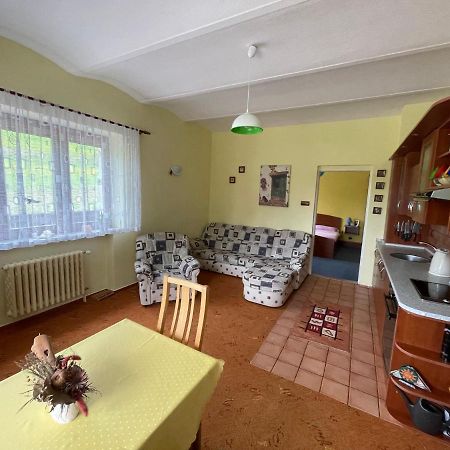 Ubytování v Krkonoších, rodinný apartmán Peklíčko Horni Lanov Exteriér fotografie